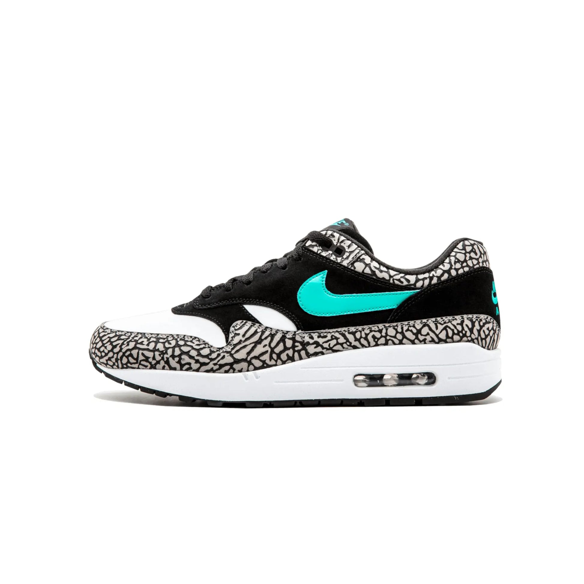 Jordan 3 Retro & Nike Air Max 1 Atmos Pack