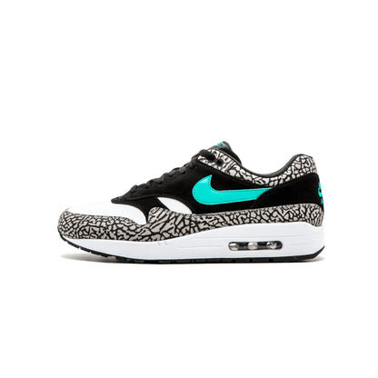 Jordan 3 Retro & Nike Air Max 1 Atmos Pack