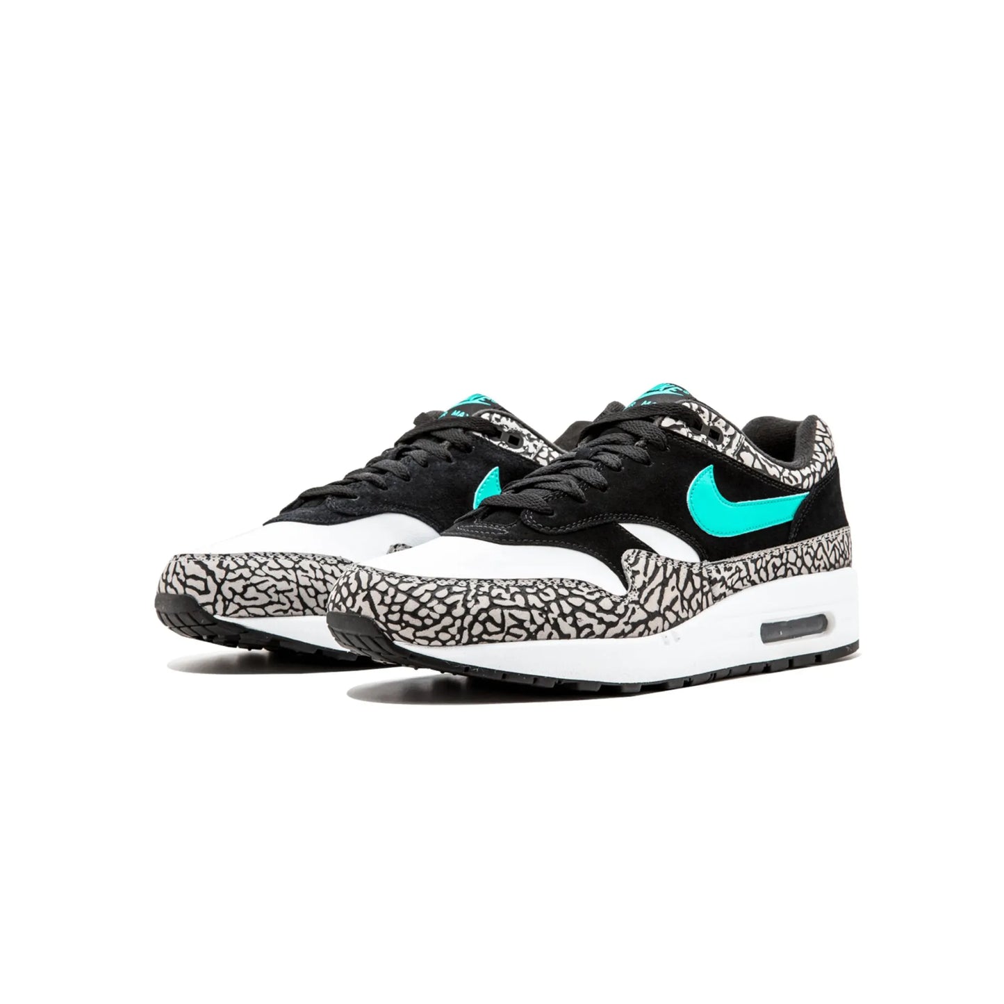 Jordan 3 Retro & Nike Air Max 1 Atmos Pack