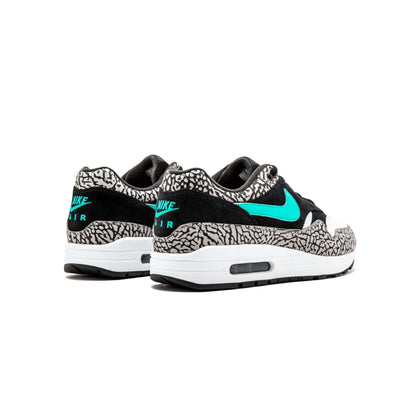 Jordan 3 Retro & Nike Air Max 1 Atmos Pack